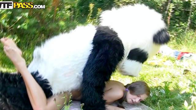Panda is fucking with slender teen