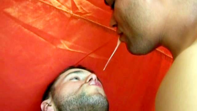 Gays with big dicks are fucking and swapping cum