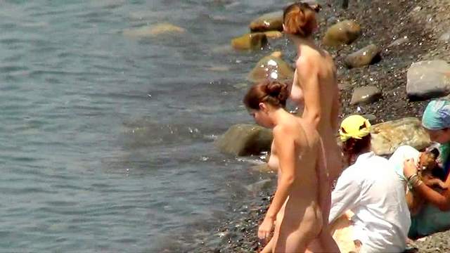 Public beach with sexy naked nudists