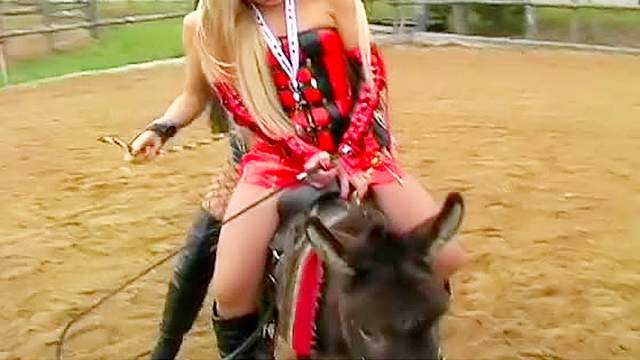 Brunette in fishnet stockings is riding on big donkey outdoors