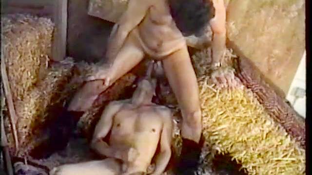 Gay cowboy cocksucking in the barn