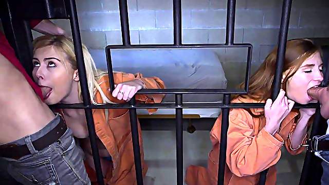 Ava & Summer tease Ryan in a sizzling Summer Day threesome