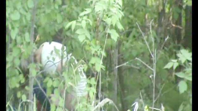 Voyeur pissing porn in the leafy woods