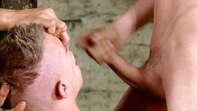 Hardcore gay threesome with slender dudes